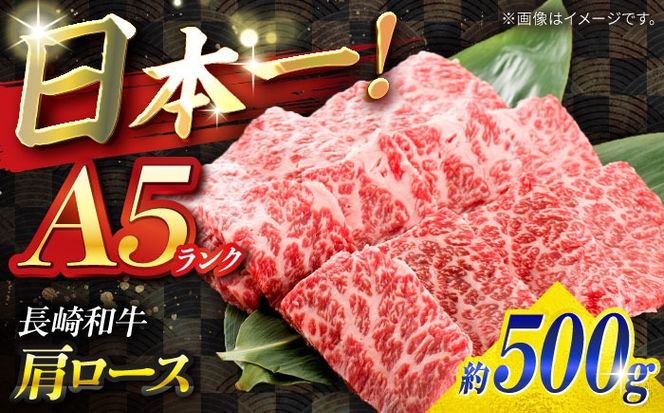 【A5ランク】長崎和牛 肩ロース 500g / 和牛 国産 牛肉 にく ブランド牛 真空 / 南島原市 / ミカド観光センター[SEC005]