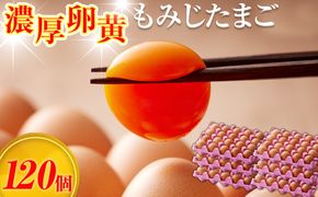 【山田養鶏】濃厚卵黄もみじたまご【120個入り】 [No.190]