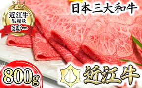 【げんさん】近江牛A5ランク　サーロイン・モモ　すき焼食べ比べセット【800g】【DG02W】