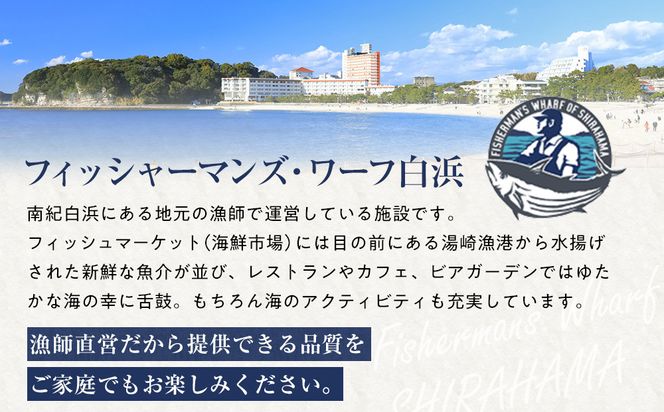 白浜天鯛完食 【先行予約 2026年3月初旬～5月中旬に順次配送】 304018_C008