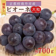 大粒 ピオーネ 1房 (700g前後) 種なし 葡萄 農家直送　ぶどう ブドウ 大粒 フルーツ 果物 南丹市 京都府