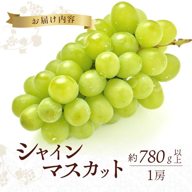 シャインマスカット 約780g以上（1房）朝採れ ぶどう セット 詰め合わせ 産地直送 フルーツ 兵庫県 加西市