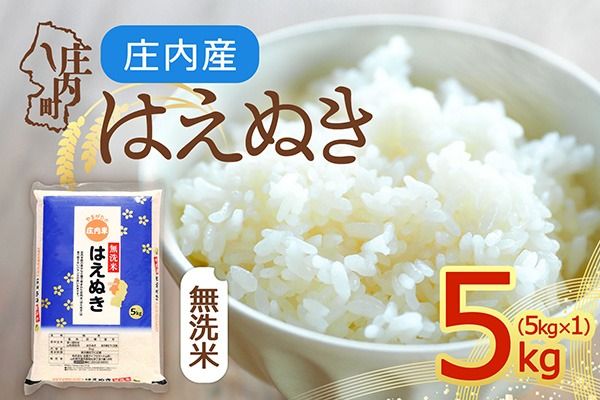 【令和8年産】庄内産 はえぬき 無洗米 5kg 5kg×1袋 余目産 余目町農協 あまるめ ブランド米 米 国産 単一原料米 山形 庄内平野