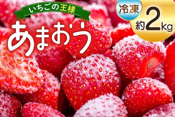 y}sz Ⓚ ܂ 2kg [mhshops  }s 21761026] Ⓚ ⓀC`S C`S 