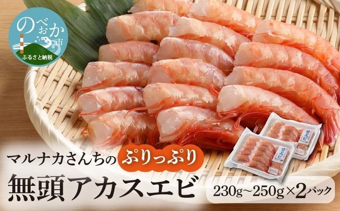 y{茧sz}iJ񂿂̂ՂՂ薳AJXGr@N065-YZA0208