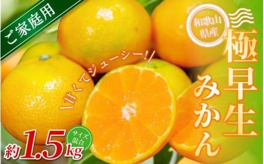 ya̎RI쒬zyƒpzI ɑ݂ 1.5kg a̎RY 2S~2LTCY2025N10{`{ɏymrmt001z