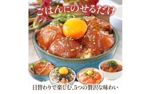 漬け丼5種セット 真鯛・ブリ・カンパチ・マグロ・サーモン 1食80g×各5P タイ 鰤 鮪 海鮮丼 刺身 海鮮 魚介 魚 お茶漬け 炊き込みご飯 惣菜 おかず 冷凍 配送