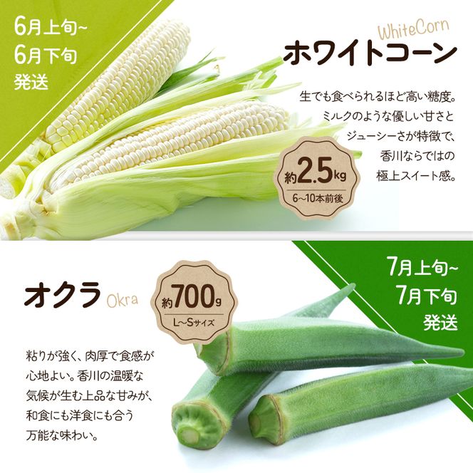 旬のさぬきの野菜定期便（5回）　野菜 定期便 旬 新鮮 食べごろ 季節 ブロッコリー アスパラ ホワイトコーン オクラ ミニトマト 香川県 東かがわ市