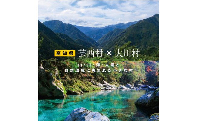 ZZ110-NT　【芸西村と大川村の共通返礼品】芸西村 海鮮丼の素セット【個別発送】＆大川村 土佐はちきん地鶏モモ肉セット