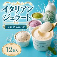 ジェラート 詰め合わせ 季節のお薦めジェラート詰め合わせ 90ml×12種類 カップ｜スイーツ ジェラート ミルク系 シャーベット系 季節 果物 野菜 すずらん牛乳 長野県 伊那市【017-37】