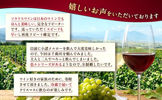ワイン 信州ワイン 赤 ソラリス 千曲川 メルロー 750ml×6本 日本ワイン 赤ワイン マンズワイン 酒