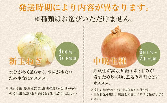 ［2026年発送分・先行予約］農家さん直送 低農薬玉ねぎ 2Lサイズ以上 10kg程度［4月中旬～7月中旬頃発送予定］［KF15］ 303446_BE90020