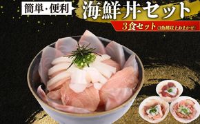 海鮮 海鮮丼 セット 冷凍 刺身用 天然 おまかせ 3種以上 3食分 小分け 簡単調理 時短 魚介 詰め合わせ 家庭用 高知県室戸市