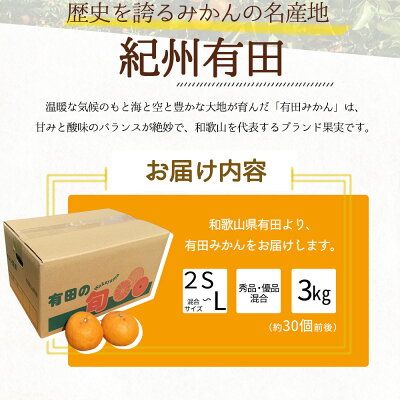 BF6031n_【2026年先行予約】 期間限定 有田みかん 約 3kg 2S～Lサイズ サイズ混合 30個 前後 秀品 優品 紀州 有田 みかん 温州みかん フルーツ 果実 甘み 酸味 絶妙 バランス 果物 柑橘 国産 食品 食べ物 マルシ農園 お取り寄せ 和歌山県 湯浅町 送料無料