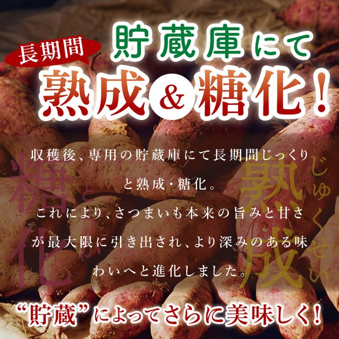 【先行予約】熟成さつまいも シルクスイート5kg【10月中旬より順次発送予定】｜茨城県 大子町 サツマイモ 芋 甘い ホクホク 野菜 数量限定 秋 旬 産地直送（CH003）