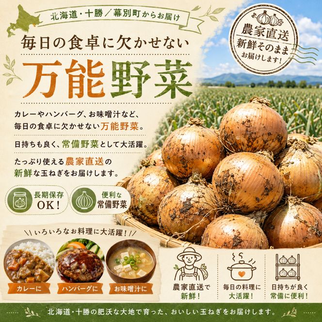 【先行予約】十勝幕別 玉ねぎ 12kg （M～2L）[北海道ホープランド農場] 【 たまねぎ 玉ねぎ 玉葱 野菜 秋野菜 北海道 十勝 幕別 】