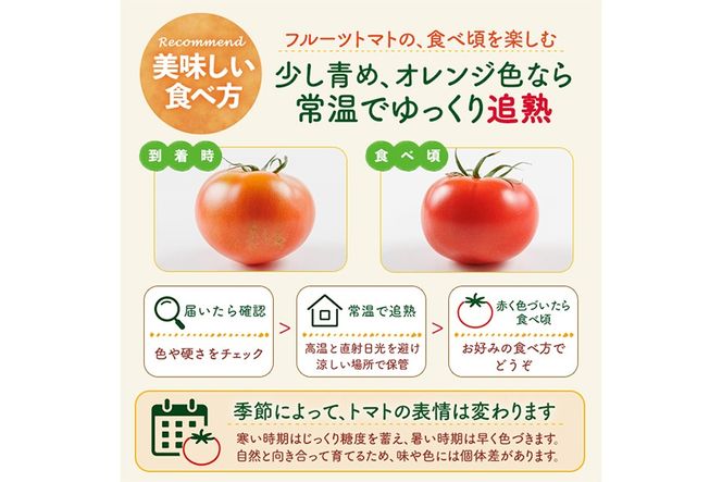 ＼全国トマト選手権 金賞＆特別賞受賞 ／＜先行予約受付中！2027年2～5月の間に発送予定＞トマけんのフルーツトマト(計1kg) フルーツトマト 高糖度 トマト サラダ 野菜 旬野菜 冷蔵 門川町産 宮崎県 門川町 【TK-01】【トマけん農園】