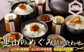 「里山のめぐみ」3商品詰め合わせ ヤマツ食品 F4N-1972