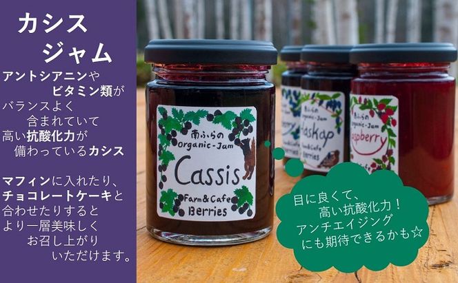 2種のベリー【カシス＆ブルーベリー】手作りジャムセット 各2個 北海道 南富良野町 ジャム ベリー カシス ブルーベリー ソース 果実 てんさい糖 無農薬 甘酸っぱい 