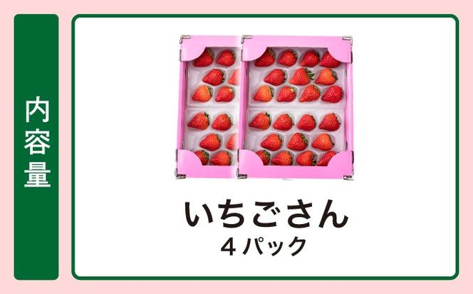 《先行予約・数量限定》佐賀県人気NO1「いちごさん」約1kg（235g×4p）