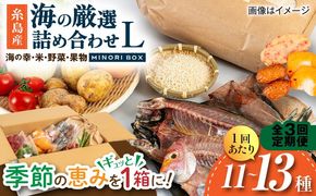 【全3回定期便】糸島産 魚 米 野菜 果物 厳選詰め合わせ MINORI BOX Lサイズ 糸島市 / emma.Inc / 米 魚 野菜 果物 詰め合わせ[AOP028]