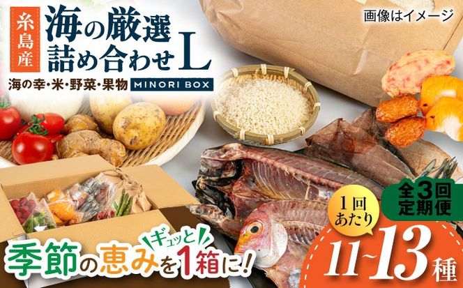 【全3回定期便】糸島産 魚 米 野菜 果物 厳選詰め合わせ MINORI BOX Lサイズ 糸島市 / emma.Inc / 米 魚 野菜 果物 詰め合わせ[AOP028]