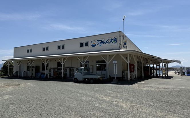 海洋体験施設うみんぐ大島 磯観察1名様分【(㈱)むなかた大島】_HA2026 体験 チケット 福岡県宗像市 宗像市 福岡 宗像