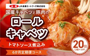 ＜6か月定期便＞国産キャベツと豚肉のロールキャベツ（10P入り） 国産キャベツ 豚肉 ロールキャベツ 2個入り 10パック 定期便 6回 国産豚肉 トマトソース 煮込み ドリア パスタ アレンジ 惣菜 簡単 調理 おかず 手巻き 洋食 レトルト 愛知県 小牧市 送料無料 ［022J44-T］ 