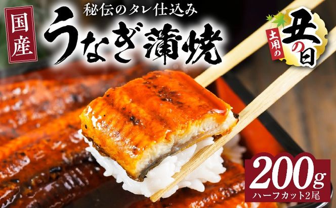 kgp0037-1d 【土用の丑の日までにお届け】国産うなぎ ハーフカット 合計200g【特製タレ付 蒲焼 訳あり 鰻 ウナギ 無頭 炭火焼き 備長炭 手焼き レンジ 温めるだけ 簡単調理】
