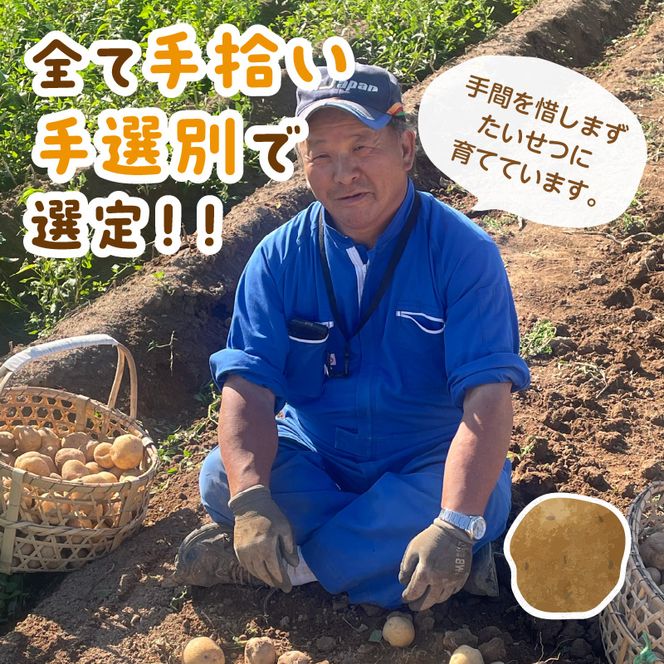 【予約：2026年2月上旬から順次発送】【選べる3サイズ】宇野さんの手拾い、手選別の越冬ジャガイモ 10kg ( 芋 野菜 選べる )【167-0004-2026】