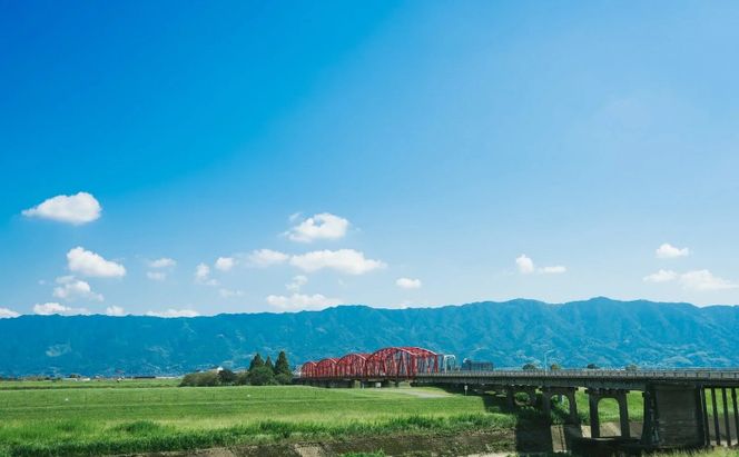 フリーズドライ 柳屋本店 だしいただきます みそ汁 10食入×2箱 計20食分 味噌汁