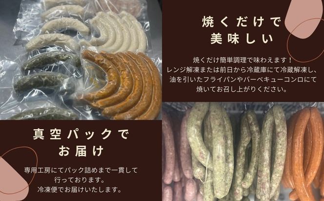【ジャングルケイブ】肉感たっぷり 手作り無添加ソーセージ(スタンダード)5本×約100g｜京都 御所南 ソーセージとお肉の店 人気セット [ 手作り無添加ソーセージ スタンダード 肉肉しい おいしい グルメ 人気 おすすめ ギフト プレゼント お取り寄せ 通販 送料無料 ふるさと納税 ］ 261009_B-XU02