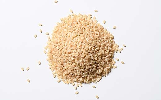 令和8年度米【コシヒカリ玄米5kg】横山ファーム 米 富山県立山町産 こしひかり 玄米 5kg 富山県 立山町 F6T-1109