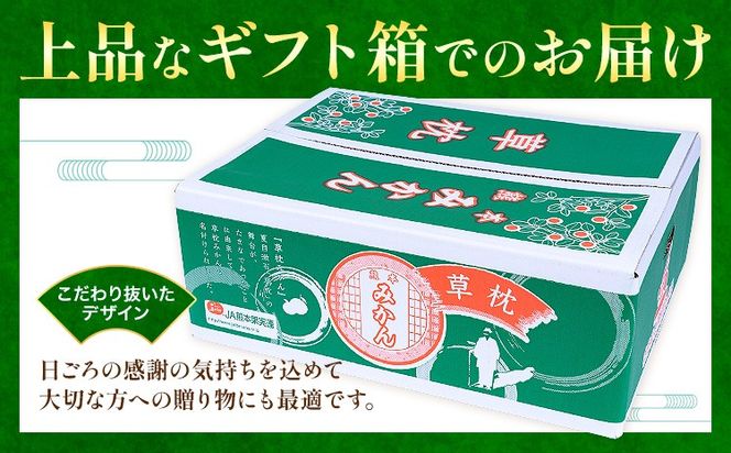 草枕みかん 約4kg 《11月上旬-12月上旬頃出荷》熊本県 玉名郡 玉東町 フルーツ 柑橘 みかん ミカン 草枕 デザート 送料無料 ---gk_ksm_ad11_r7_10000_4kg---