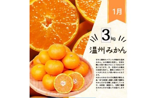 【4か月定期便】旬の柑橘定期便 / みかん ミカン 柑橘 オレンジ 果物 くだもの フルーツ フルーツ定期便 和歌山【tkb416】