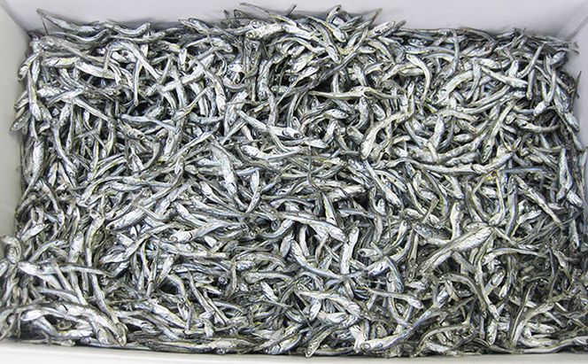 京都府産 特選 じゃこ煮干し 220g × 2袋 