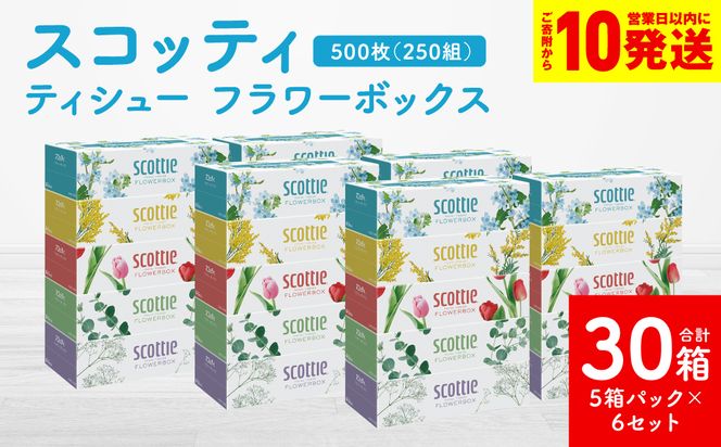 �y�F�{������s�z�y�X�R�b�e�B�z�e�B�V���[ �t�����[�{�b�N�X 250�g 5���p�b�N×6�Z�b�g ���v30�� �e�B�b�V�� ���p�i �����K���i ���Օi �� �܂Ƃߔ��� ���~ �h�Д��~ �f�U�C���{�b�N�X