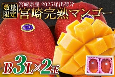 予約受付！数量限定＜宮崎県産 完熟マンゴー B等級 3Lサイズ×2玉（合計約900g）＞2025年4月下旬～6月末迄に順次出荷【 果物 フルーツ くだもの 甘い トロピカル ギフト プレゼント 贈り物 贈答用 デザート 季節限定 旬 産地直送 】【b0258_ja】