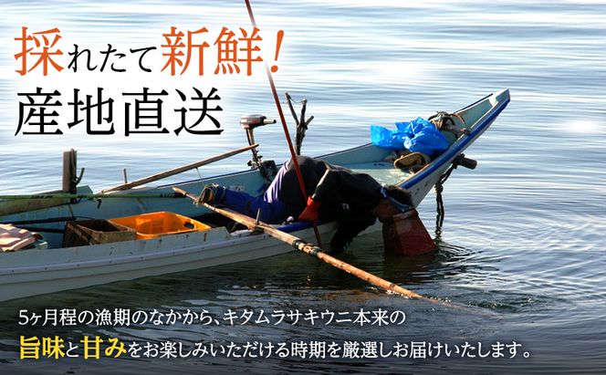 北海道 礼文島産 採れたて ミョウバン不使用 キタムラサキウニ 塩水パック 1kg(100g×10個)［株式会社やまじょう］【 うに ウニ 雲丹 生うに 塩水うに キタムラサキウニ 滅菌海水 海鮮 うに丼 濃厚 甘み 大容量 】