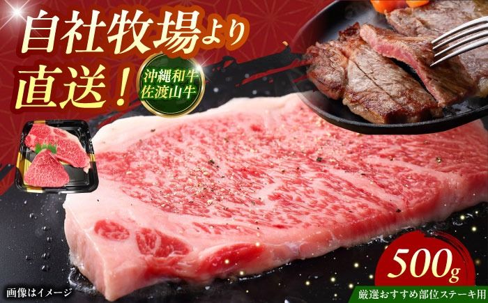 [厳選!おすすめ部位]沖縄和牛 佐渡山牛 ステーキ肉 500g ステーキ 牛肉 和牛 焼肉 赤身 沖縄市 / 肉のサブロー[BCBC001]