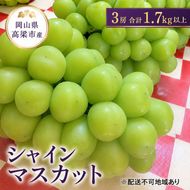 ぶどう シャインマスカット 3房 合計1.7kg以上 葡萄 フルーツ 岡山 高梁市産 こあに葡萄園 2026年 先行予約 果物類 ぶどう ブドウ 