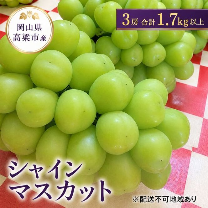 ぶどう シャインマスカット 3房 合計1.7kg以上 葡萄 フルーツ 岡山 高梁市産 こあに葡萄園 2026年 先行予約 果物類 ぶどう ブドウ 