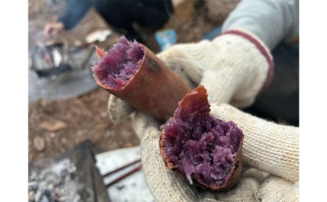 癒しの森で焚き火と焼き芋体験（1名様分）～「町に近い森」がある小諸にて　体験 チケット 自然 リフレッシュ