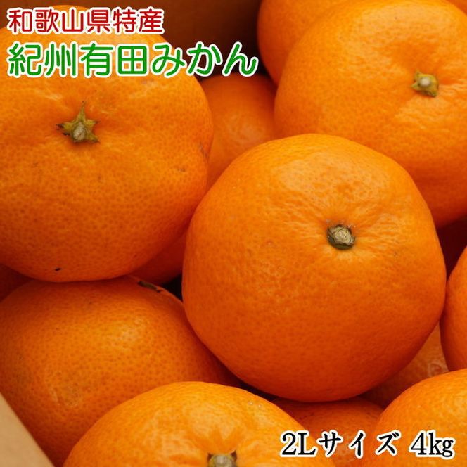 [秀品]和歌山有田みかん4kg(2Lサイズ) ｜ ふるさと納税 ミカン