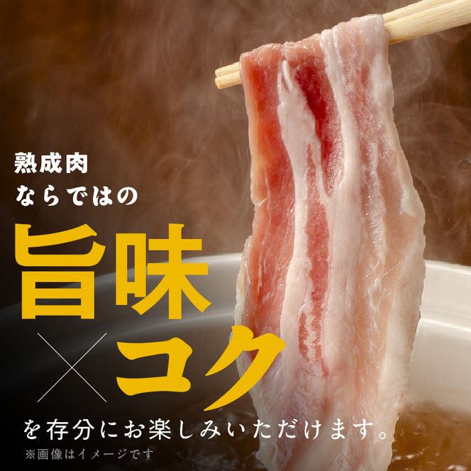 宮崎県産熟成豚 バラスライスセット N0105-YA2283-sku