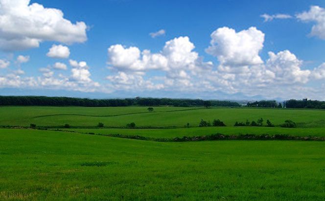  あっけし極みるくあいす10個  北海道 牛乳 乳製品 ミルク アイス アイスクリーム お菓子 