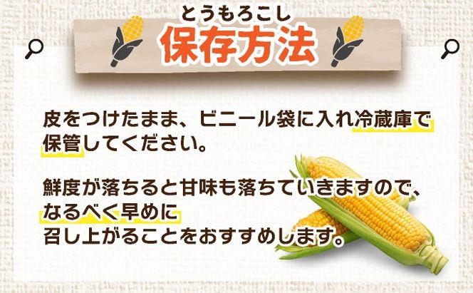 ＜先行予約＞北海道産 とうもろこし 恵味 Lサイズ 20本 | トウモロコシ とうきび コーン スイートコーン 国産 野菜 人気 ふじいファーム