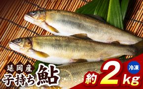 【冷凍】子持ち鮎約2kg N070-YB728-2
