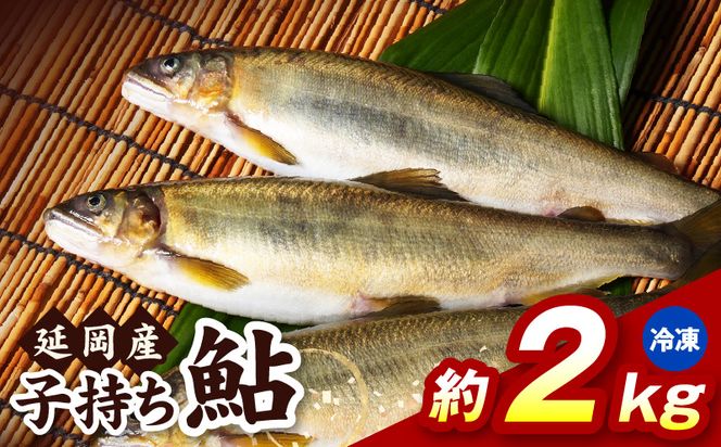 【冷凍】子持ち鮎約2kg N070-YB728-2