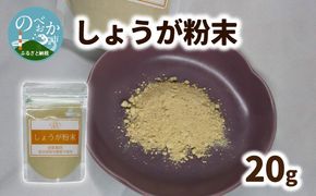 しょうが 粉末 N048-YA0494